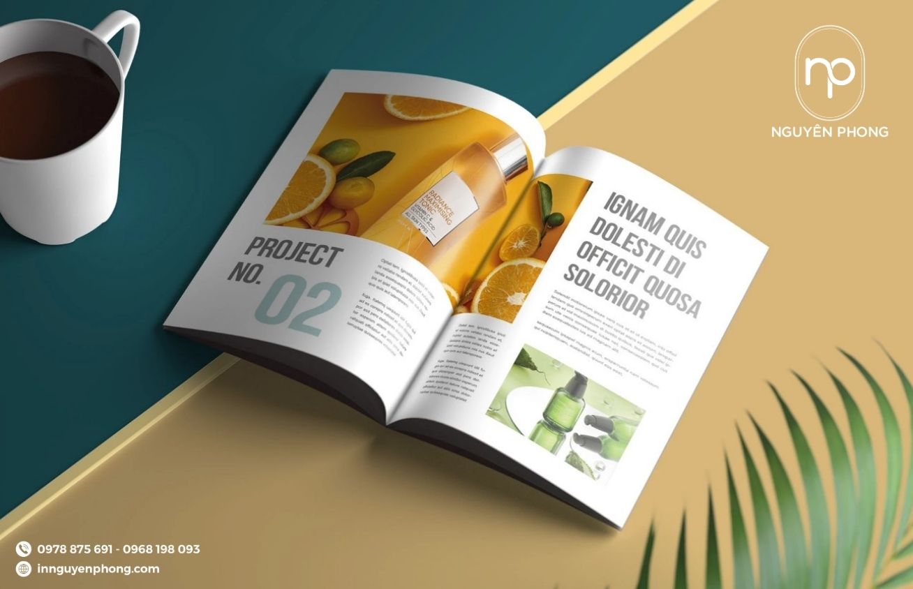 Bố cục trong thiết kế 11